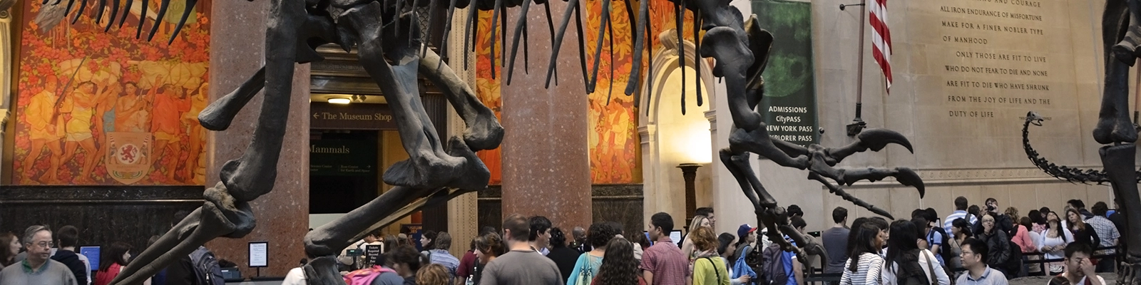 American Museum of Natural History - interior view with exhibits and visitors exploring the vast collections related to nature, science, and human cultures.