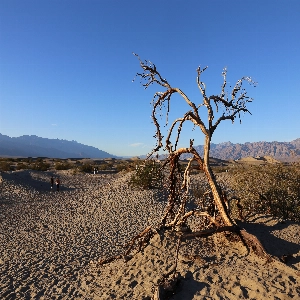 Scenic landscape of Death Valley National Park with dramatic mountains and desert terrain.
