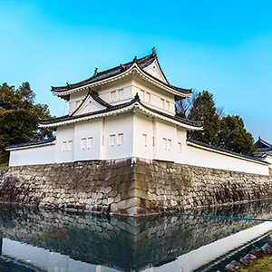 Nijo Castle, a historic Japanese fortress with beautiful gardens and traditional architecture