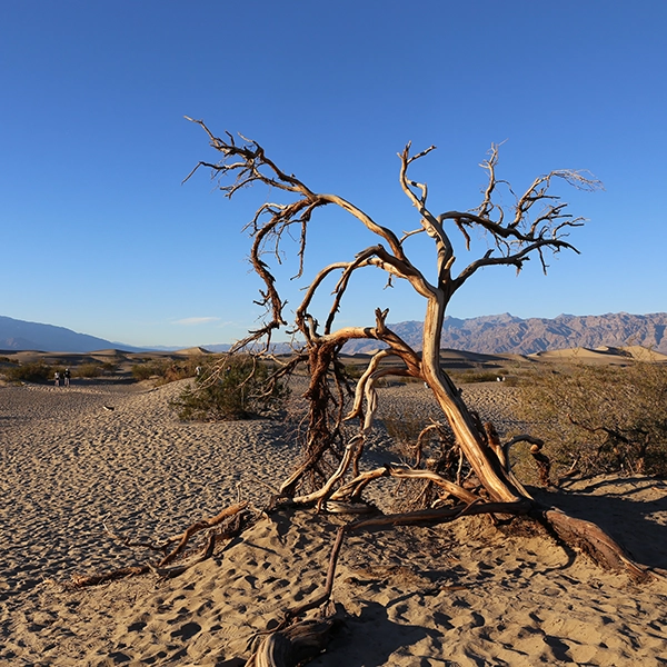 Scenic landscape of Death Valley National Park with dramatic mountains and desert terrain.